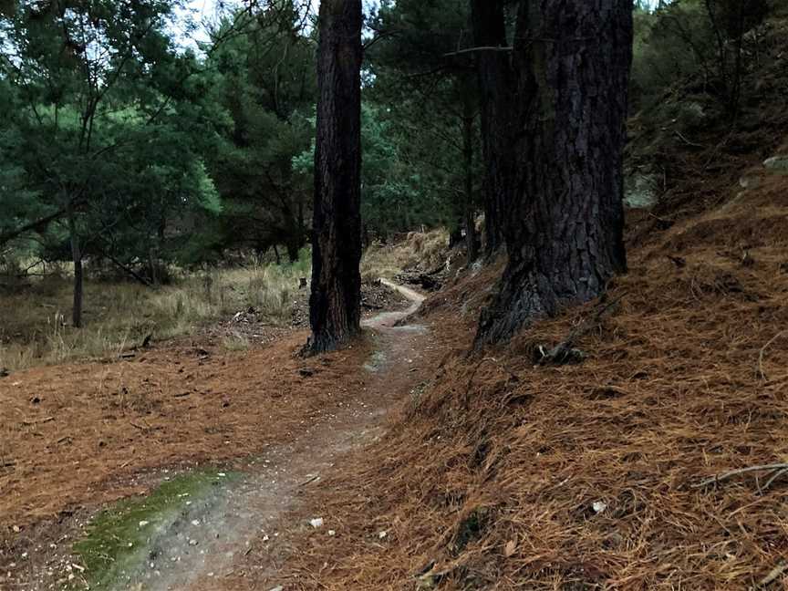 Black Hill Reserve and Mountain Bike Trails, Black Hill, VIC