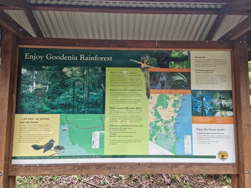 Goodenia Rainforest picnic area, South Wolumla, NSW