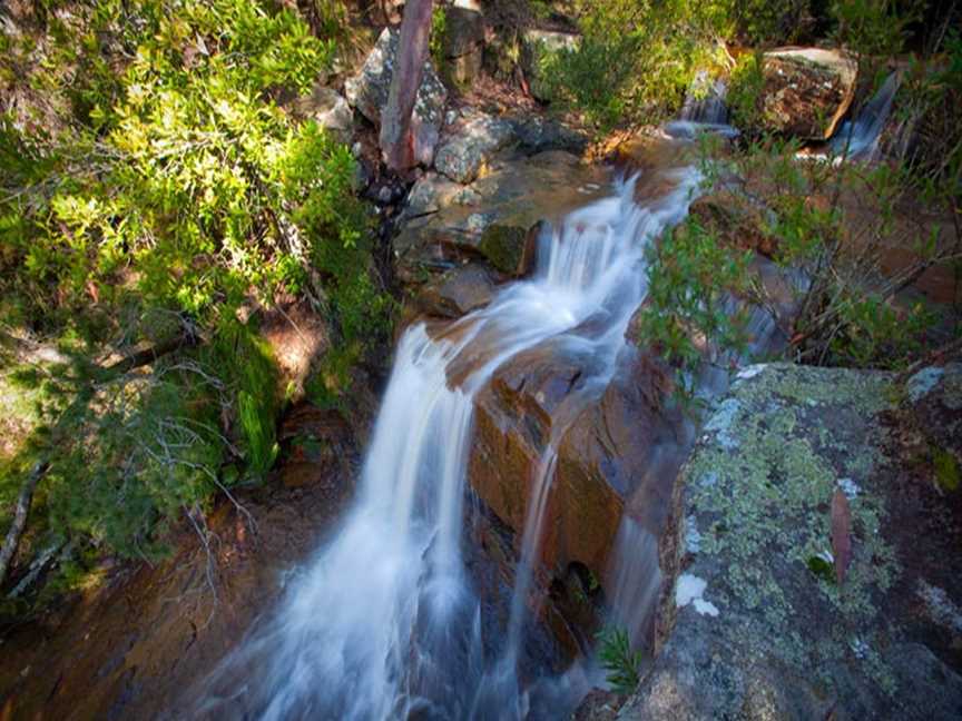 Kellys Falls picnic area, Stanwell Tops, NSW