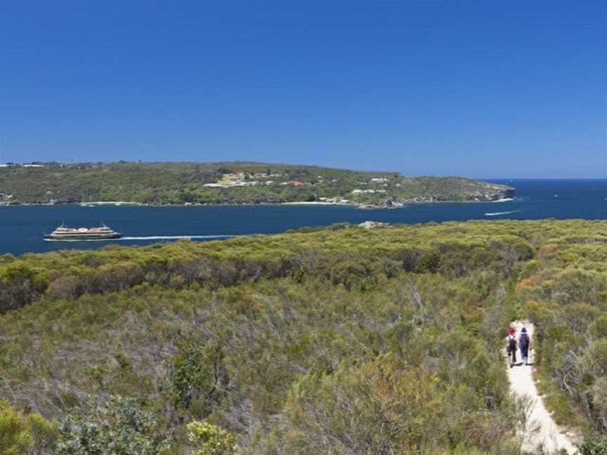 Manly to Spit Bridge Scenic Walkway, Manly, NSW