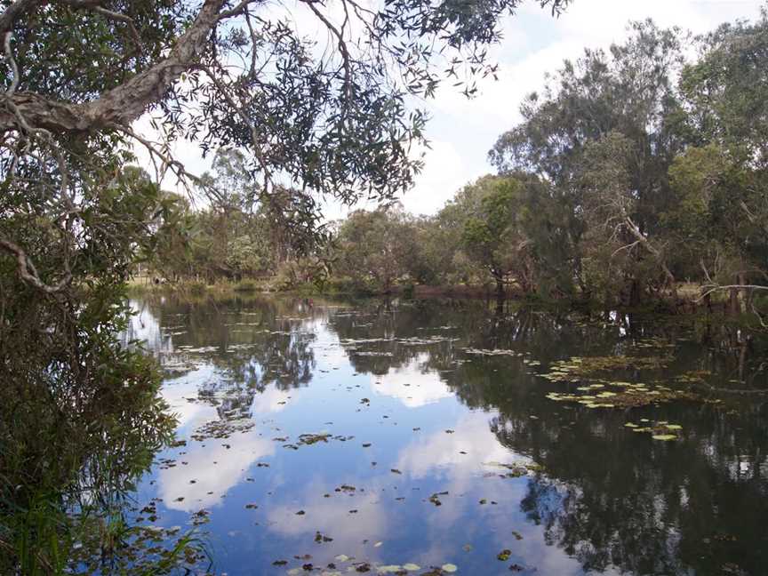 Baldwin Swamp Environmental Park, Bundaberg East, QLD