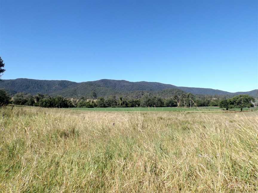 Bellthorpe National Park, Woodford, QLD