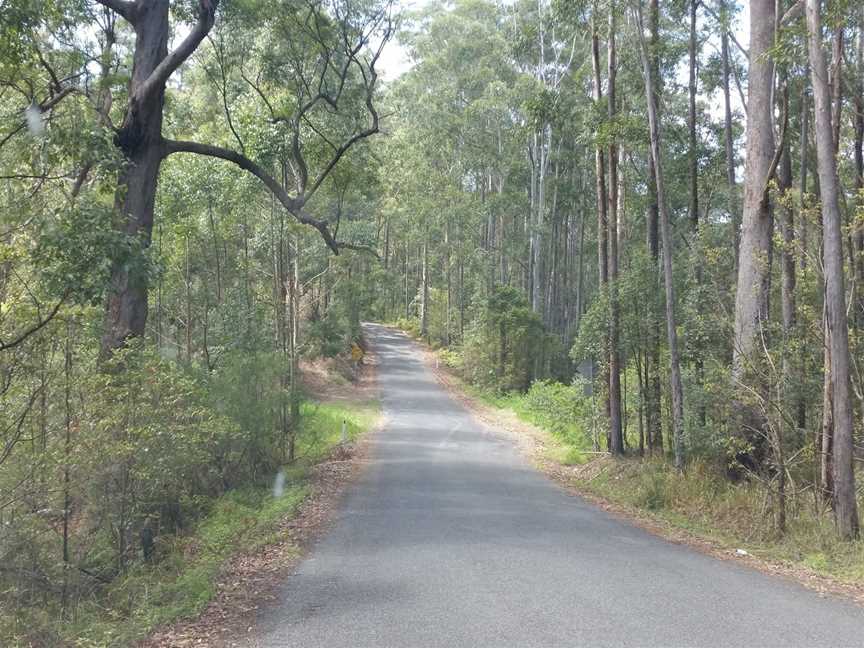 Bellthorpe National Park, Woodford, QLD