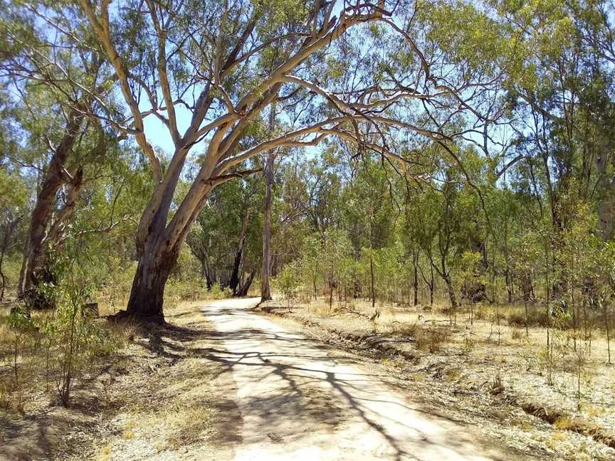 Yellowbelly Track cycling route, Echuca, VIC