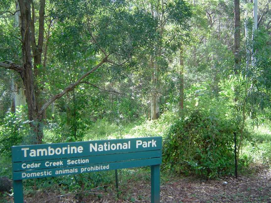 Tamborine National Park, Tamborine, QLD