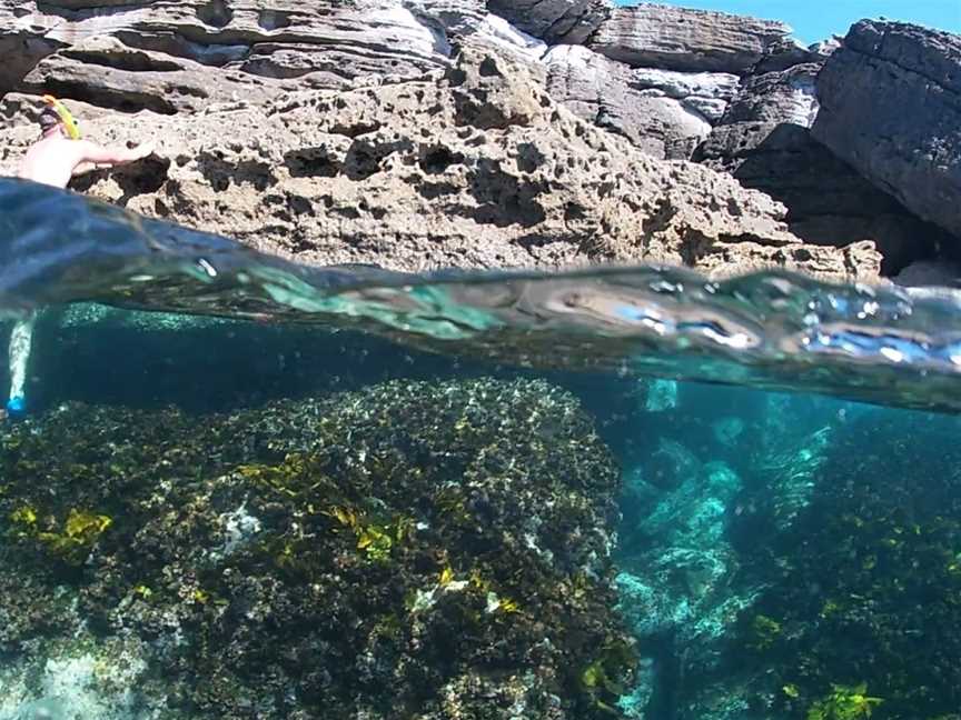 Target Beach, Beecroft Peninsula, NSW