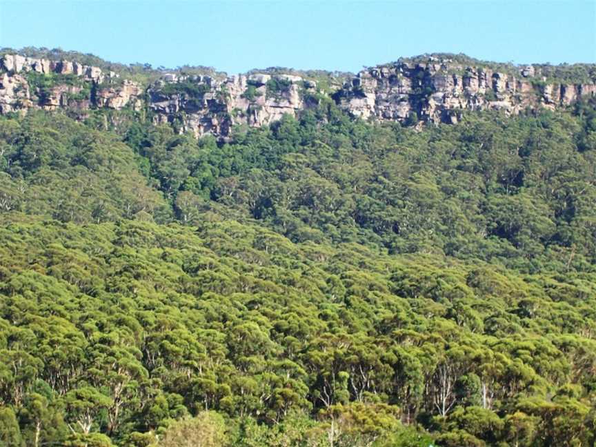 Illawarra Escarpment State Conservation Area, Tarrawanna, NSW