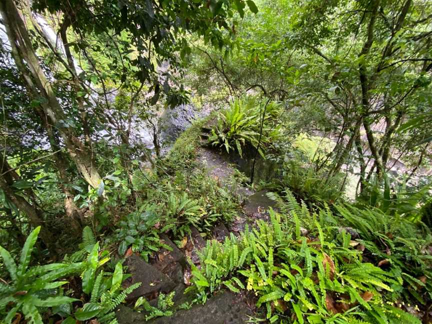 Tchupala Falls, Wooroonooran, QLD