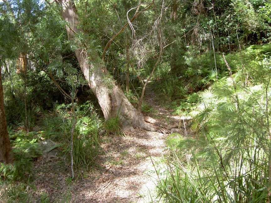 The Basin picnic area, Ku-Ring-Gai Chase, NSW