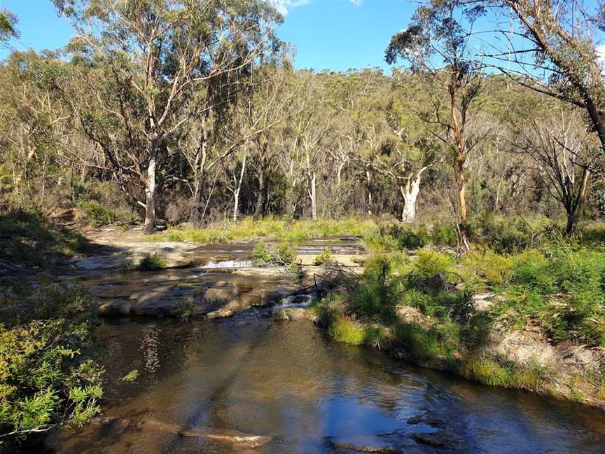 Bargo State Conservation Area, Wattle Ridge, NSW