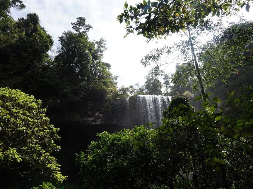 Zillie Falls, Millaa Millaa, QLD