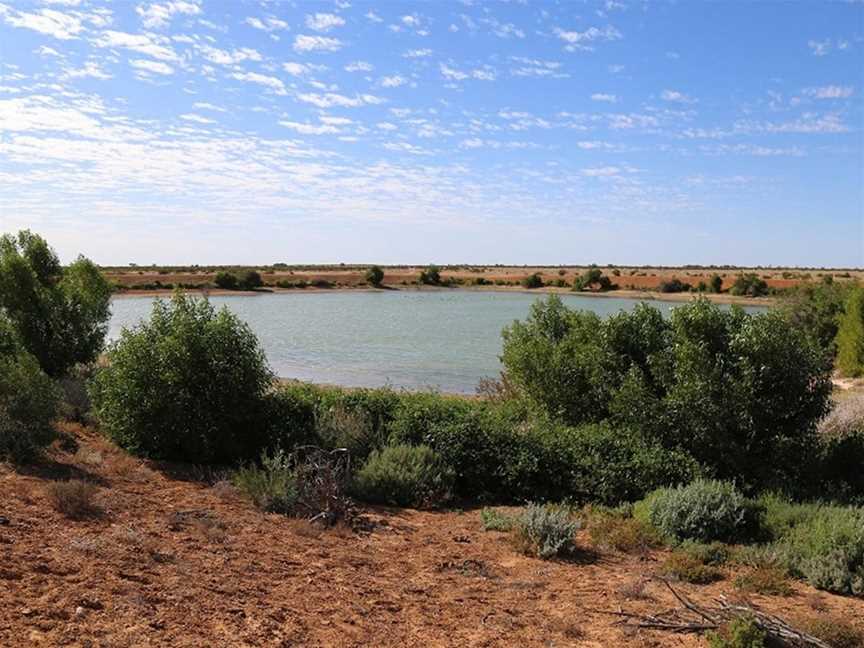 Caryapundy tank bird hide, Tibooburra, NSW