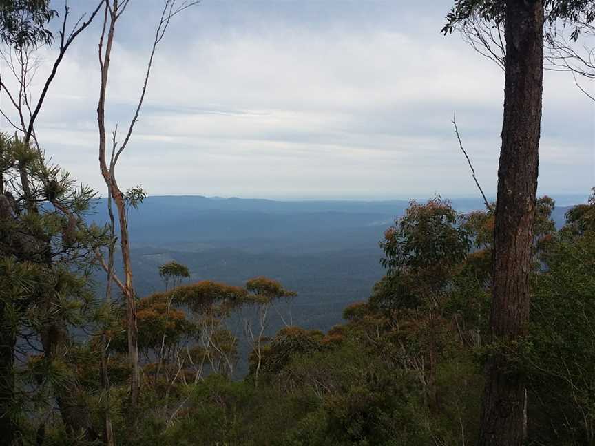 Mount Imlay National Park, Towamba, NSW