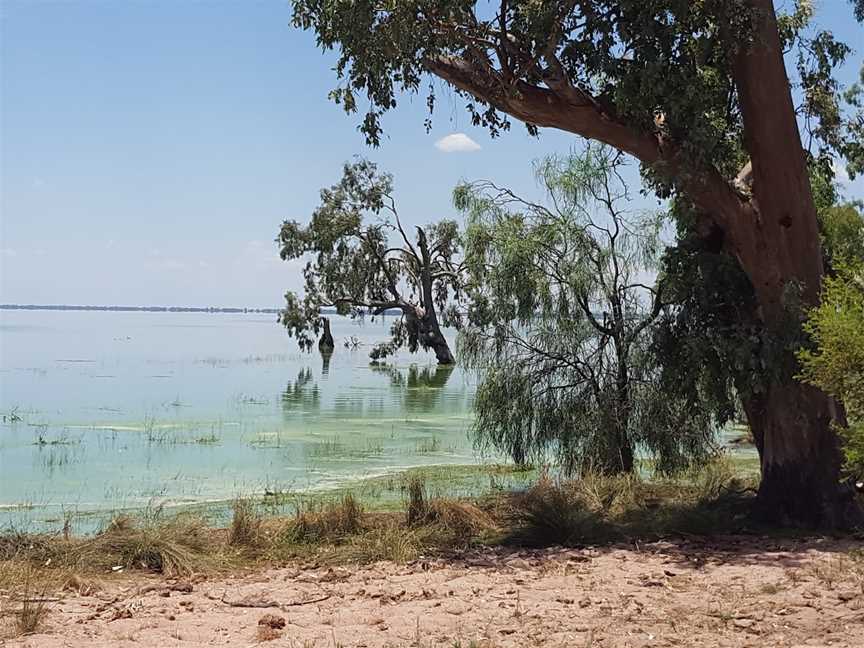 Lake Cowal, Lake Cowal, NSW