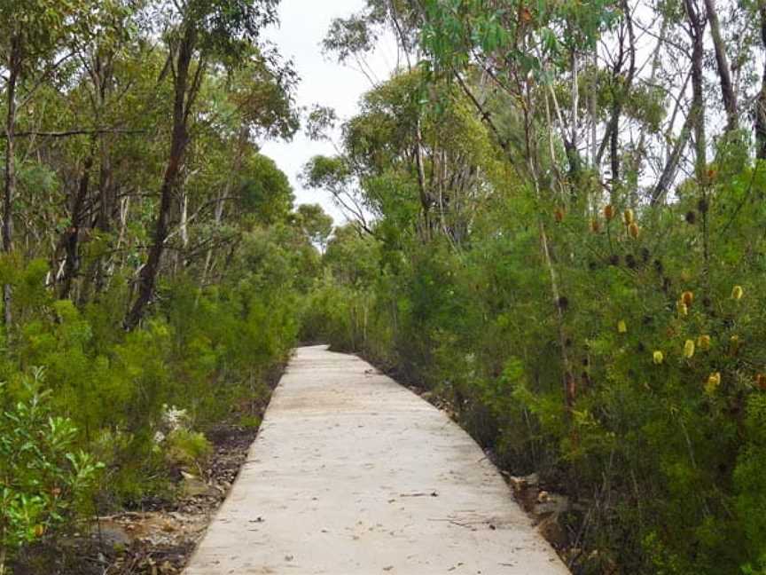 O’Hares Creek lookout walking track, Wedderburn, NSW