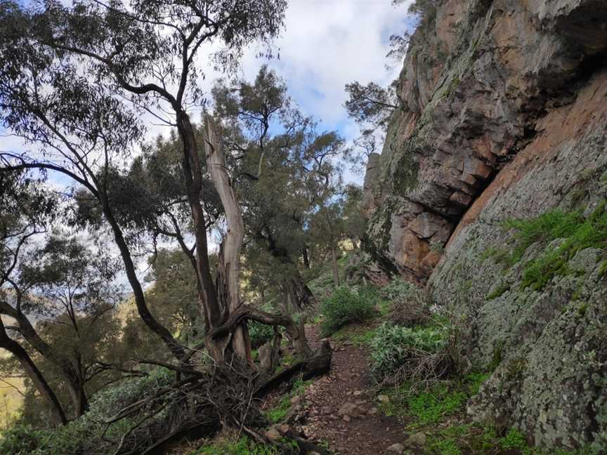 The Rock Nature Reserve - Kengal Aboriginal Place, The Rock, NSW