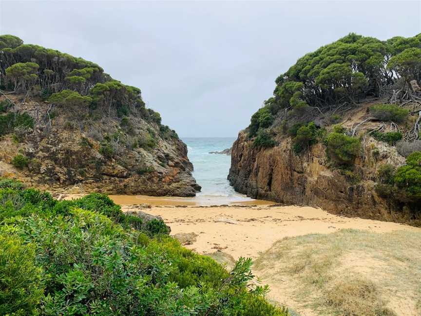 Turingal Head picnic area, Wallagoot, NSW