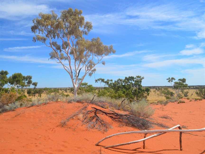 Welford National Park, Jundah, QLD