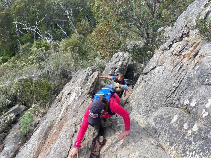 Wells Cave Track Loop, Taggerty, VIC