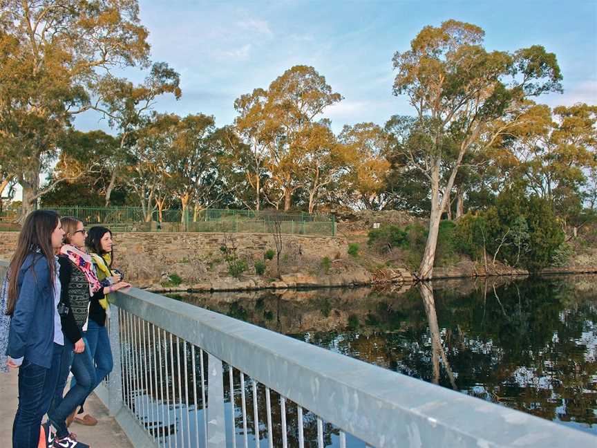 Barossa Reservoir Reserve, Williamstown, SA