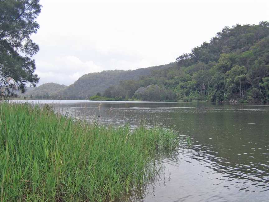 Dharug National Park, Gunderman, NSW