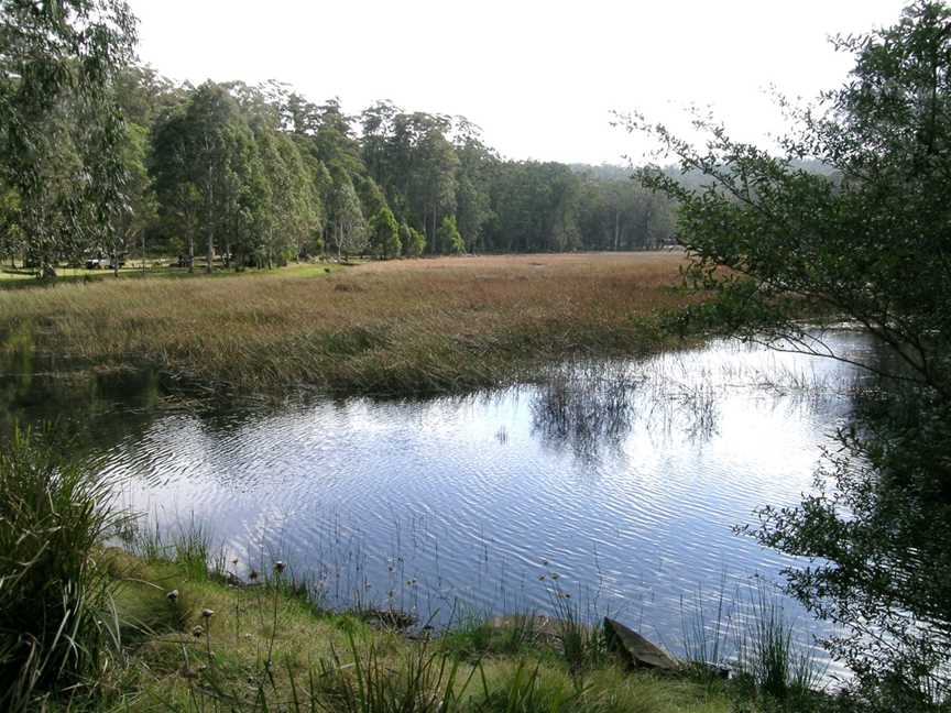 Mummel Gulf National Park, Yarrowitch, NSW