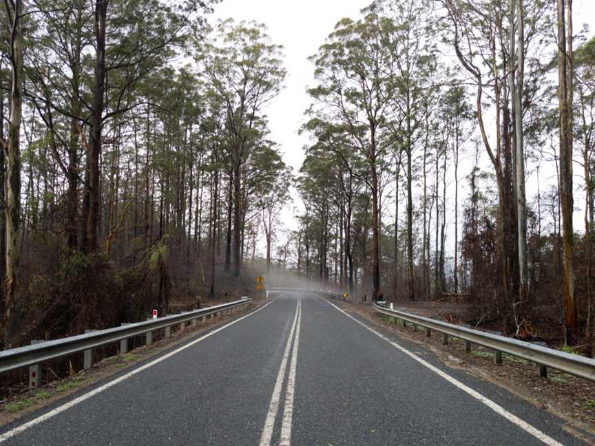 Cottan-Bimbang National Park, Yarrowitch, NSW