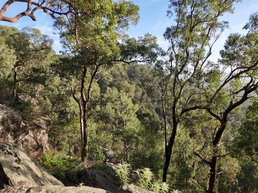Yellow Rock lookout, Yellow Rock, NSW