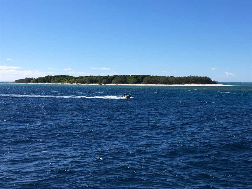Lady Musgrave Island, Lady Musgrave Island, QLD