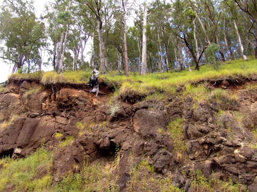 Lamington National Park, Binna Burra, NSW