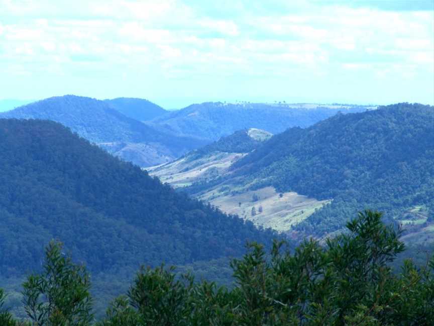 Lamington National Park, Binna Burra, NSW