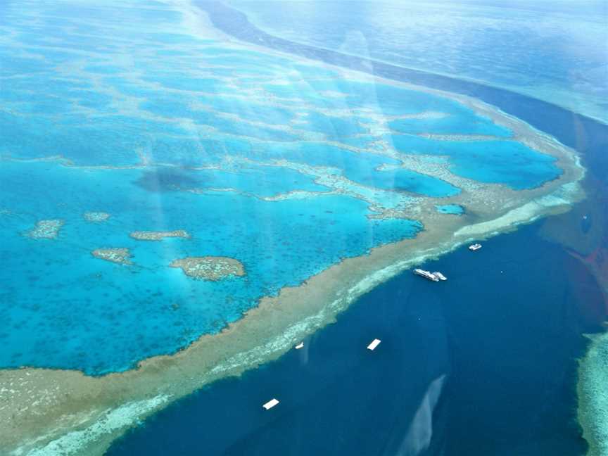 Great Barrier Reef, Cairns City, QLD