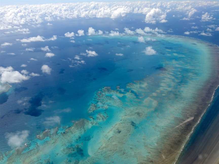 Great Barrier Reef, Cairns City, QLD