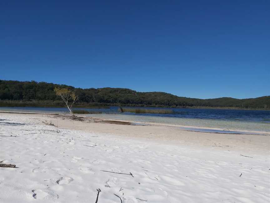 Lake Birrabeen, K'gari, QLD