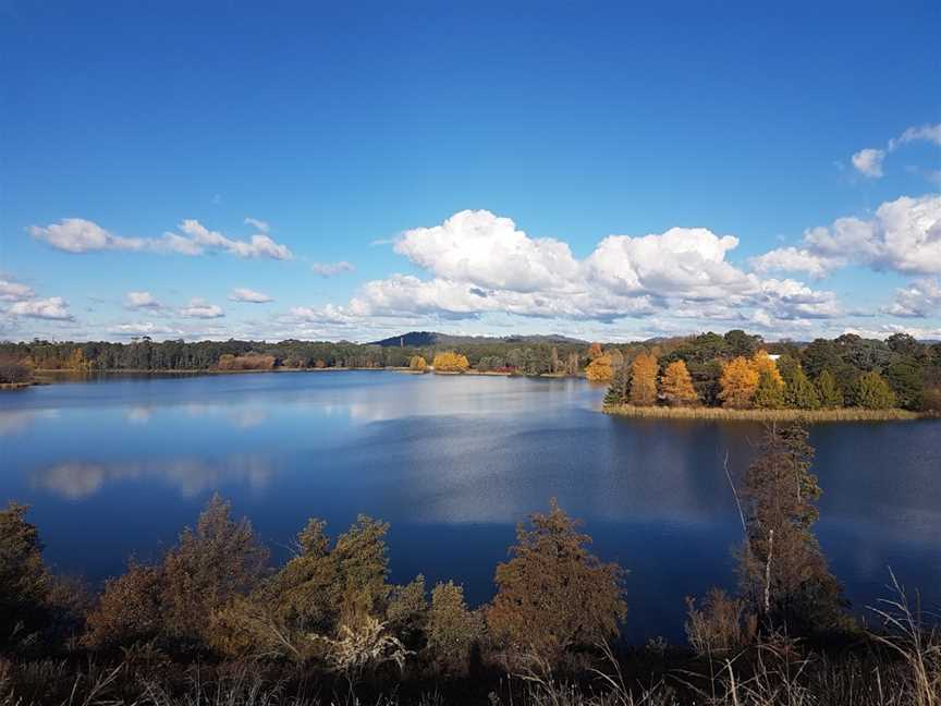 Black Mountain Nature Park, Mitchell, ACT