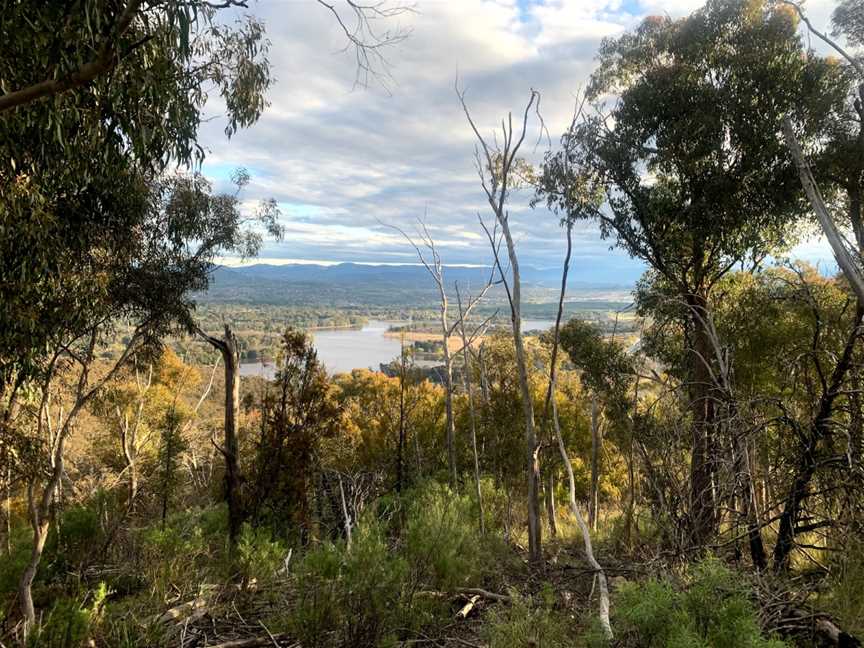 Black Mountain Nature Park, Mitchell, ACT