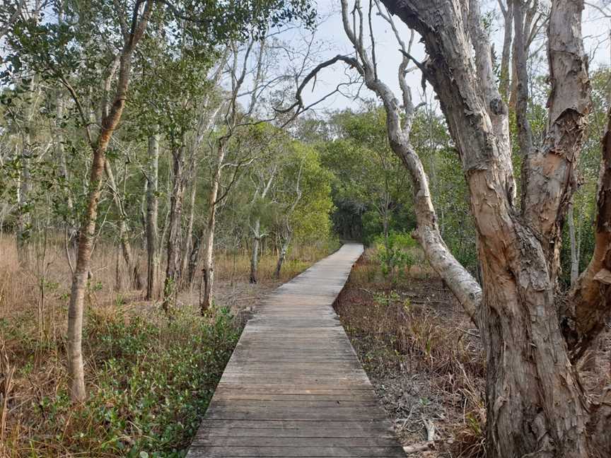Kooloonbung Creek Nature Park, Port Macquarie, NSW