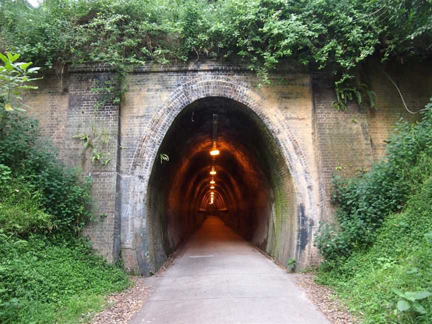 Fernleigh Track, Newcastle, NSW