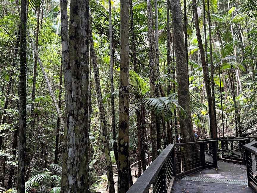 Wanggoolba Creek, K'gari, QLD