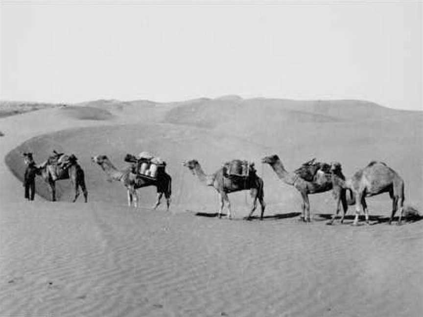 Simpson Desert, Simpson, VIC