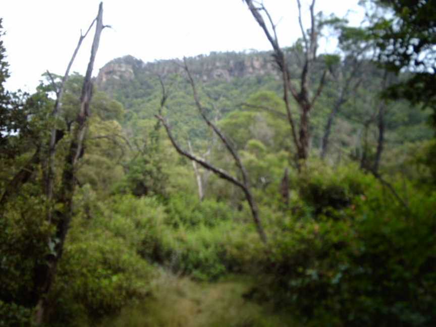 Mount Keira, Wollongong, NSW