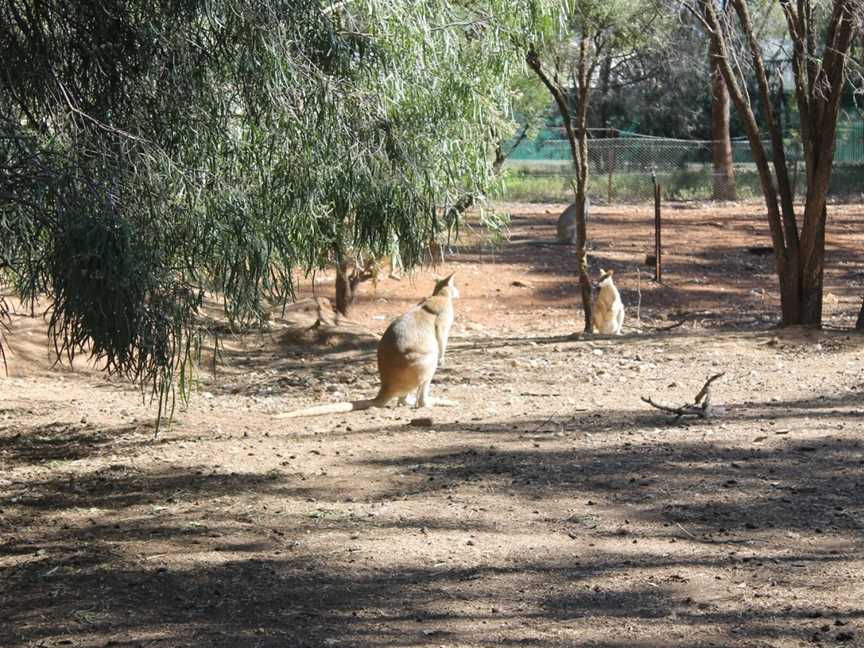 Waterways Wildlife Park, Gunnedah, NSW