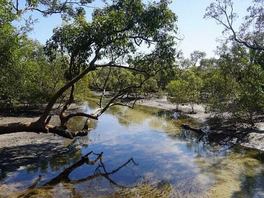 Myora Springs Conservation Area, North Stradbroke Island, QLD