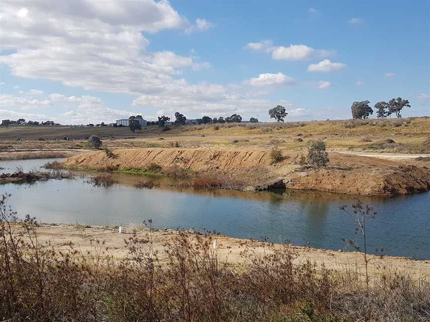 Putta Bucca Wetlands, Mudgee, NSW