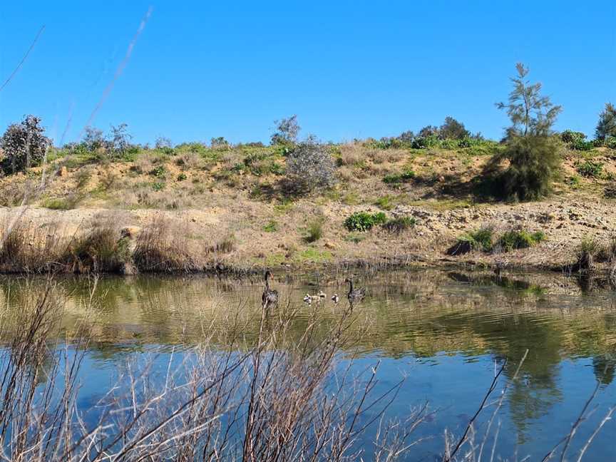 Putta Bucca Wetlands, Mudgee, NSW