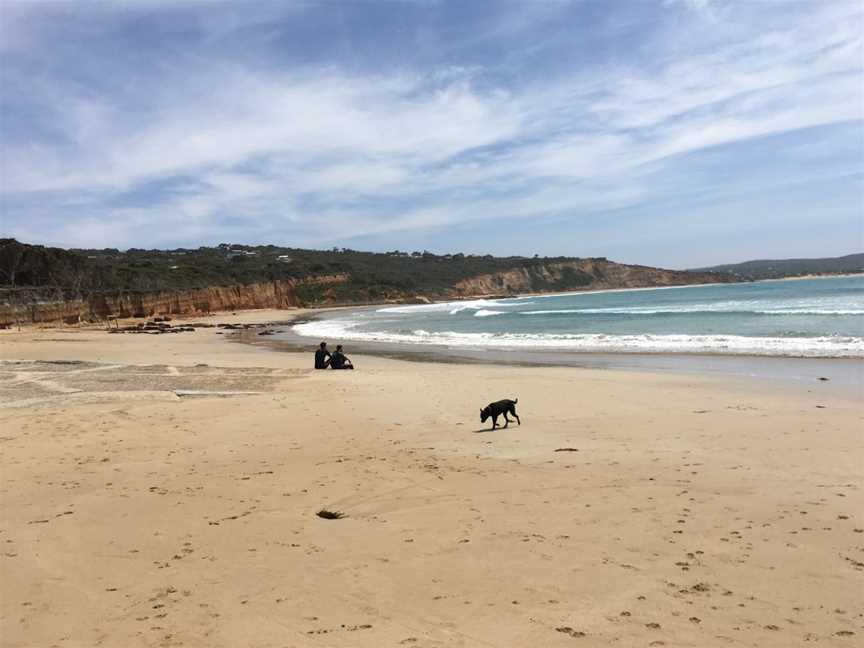 Point Roadknight, Anglesea, VIC