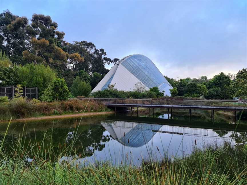 Bicentennial Conservatory, Adelaide, SA