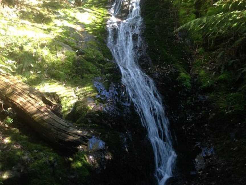 Evercreech Forest Reserve, Mathinna, TAS