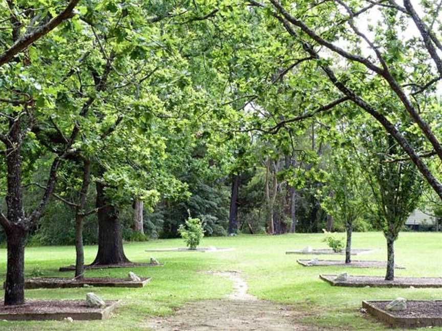 Corridor of Oaks, Faulconbridge, NSW