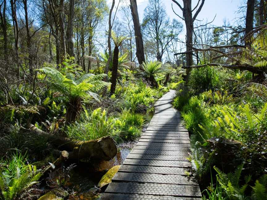 Sealers Cove, Wilsons Promontory, VIC